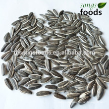 Wanted business partner of the sunflower seeds